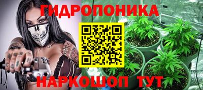 индика Можайск