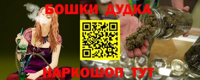 индика Можайск