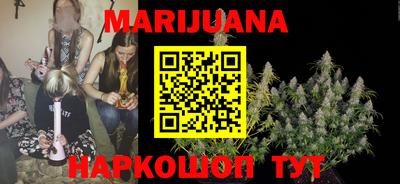 индика Можайск
