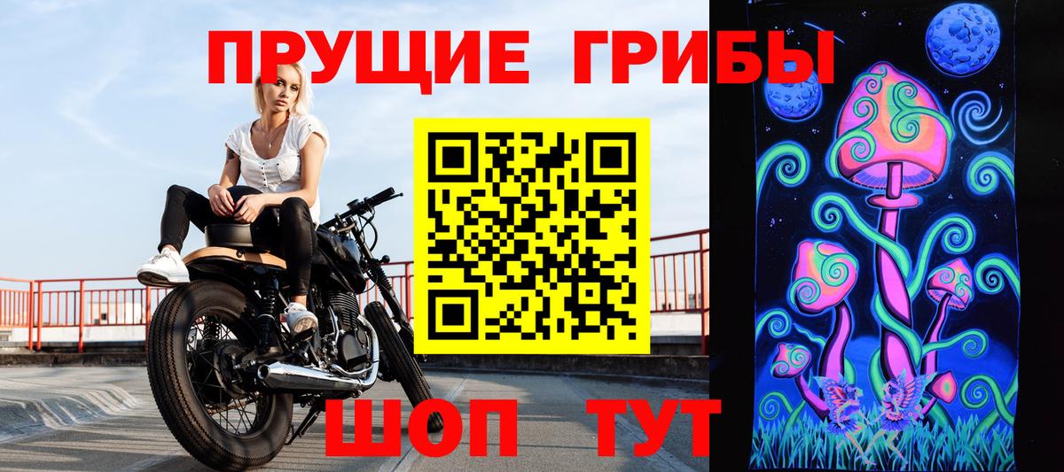 Чайковский  наркота  Вход с VPN  Галлюциногенные грибы мухоморы 